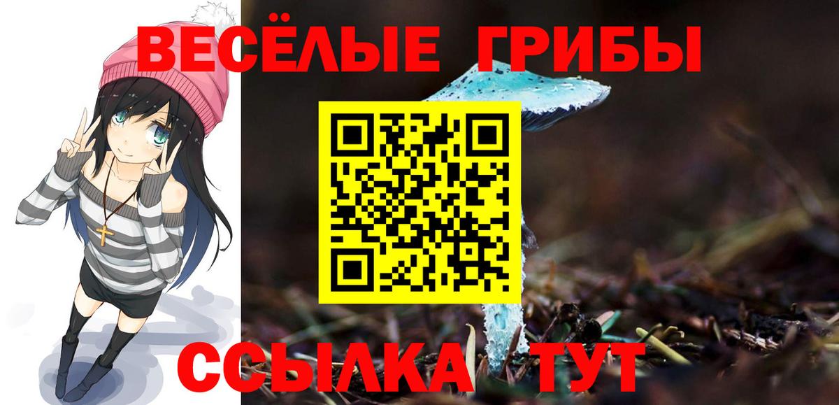 Галлюциногенные грибы MAGIC MUSHROOMS Екатеринбург